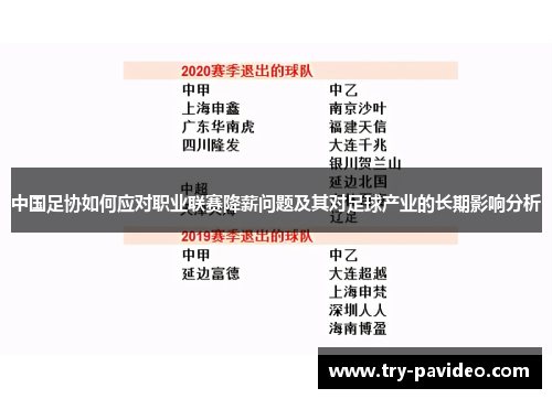 中国足协如何应对职业联赛降薪问题及其对足球产业的长期影响分析