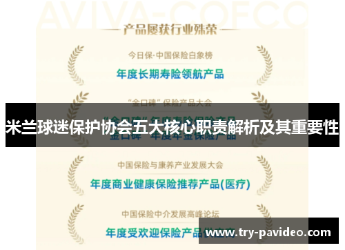 米兰球迷保护协会五大核心职责解析及其重要性