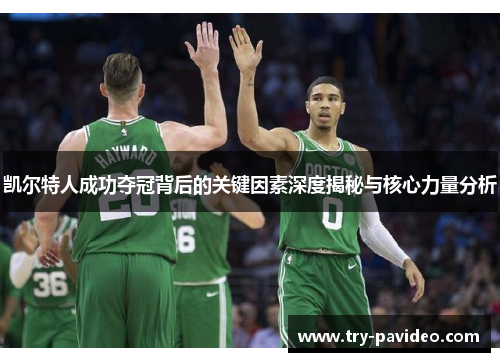 凯尔特人成功夺冠背后的关键因素深度揭秘与核心力量分析