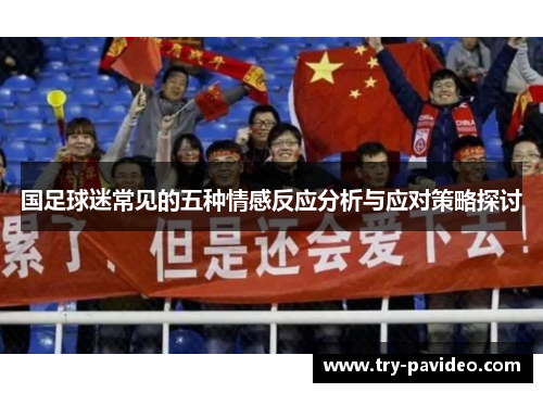 国足球迷常见的五种情感反应分析与应对策略探讨