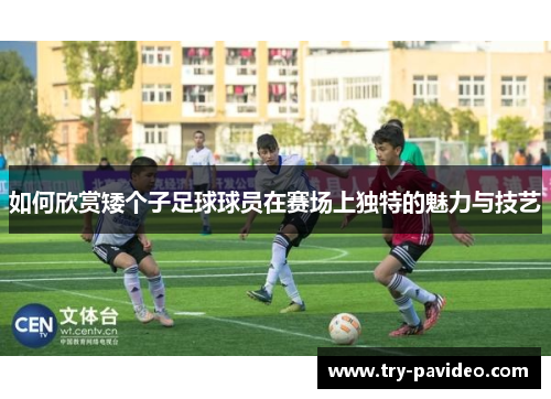 如何欣赏矮个子足球球员在赛场上独特的魅力与技艺
