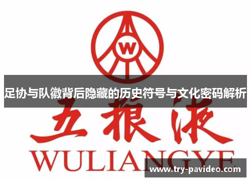 足协与队徽背后隐藏的历史符号与文化密码解析