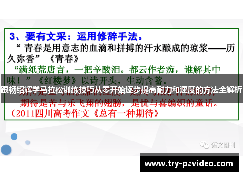 跟杨绍辉学马拉松训练技巧从零开始逐步提高耐力和速度的方法全解析