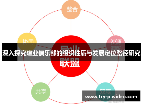 深入探究建业俱乐部的组织性质与发展定位路径研究