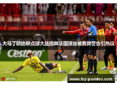 大马丁欧协联点球大战挑衅法国球迷被黄牌警告引热议