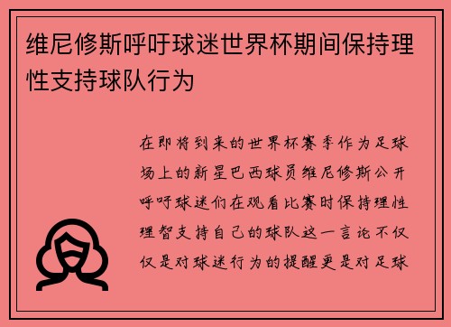 维尼修斯呼吁球迷世界杯期间保持理性支持球队行为