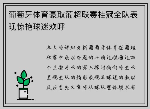 葡萄牙体育豪取葡超联赛桂冠全队表现惊艳球迷欢呼 葡萄牙体育豪取葡超联赛桂冠全队表现惊艳球迷欢呼