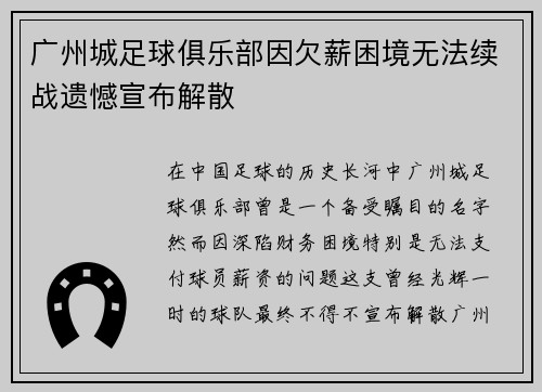 广州城足球俱乐部因欠薪困境无法续战遗憾宣布解散 广州城足球俱乐部因欠薪困境无法续战遗憾宣布解散